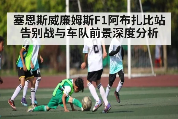 塞恩斯威廉姆斯F1阿布扎比站告别战与车队前景深度分析
